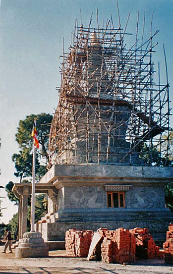 Kyabje Dorzong Rinpoche 
