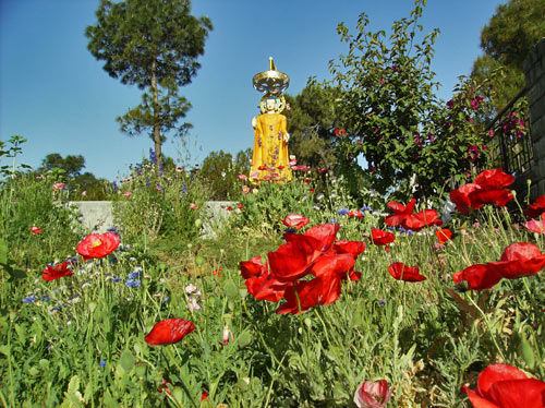 Kyabje Dorzong Rinpoche 