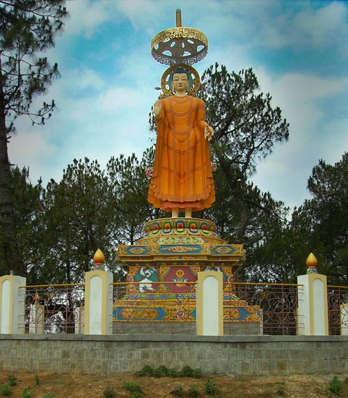 Kyabje Dorzong Rinpoche
