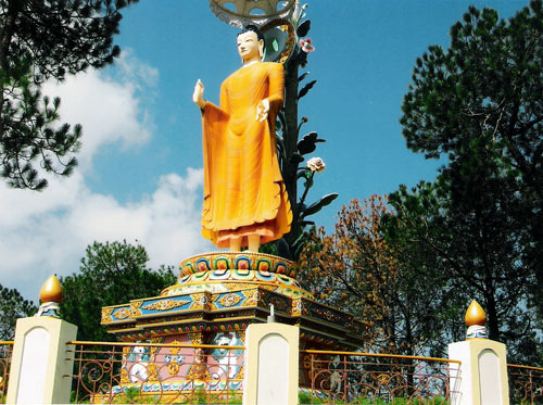 Kyabje Dorzong Rinpoche 