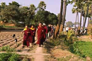 Kyabje Dorzong Rinpoche