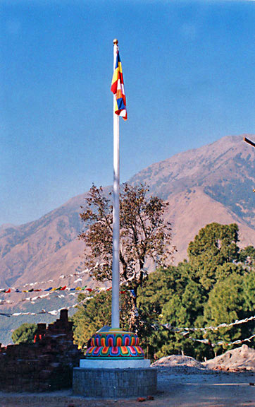 Kyabje Dorzong Rinpoche 
