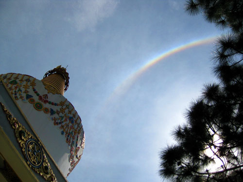 Kyabje Dorzong Rinpoche 