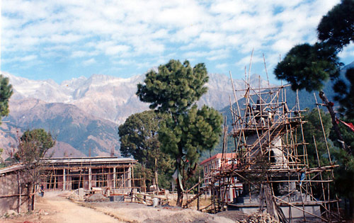Kyabje Dorzong Rinpoche