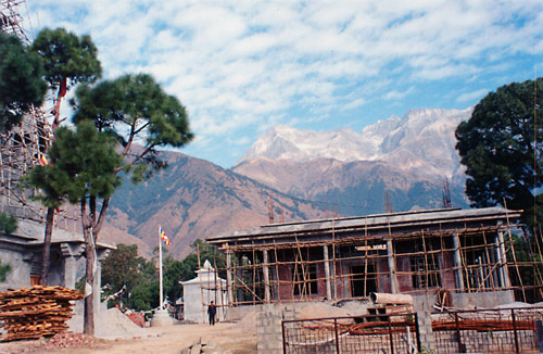 Kyabje Dorzong Rinpoche 