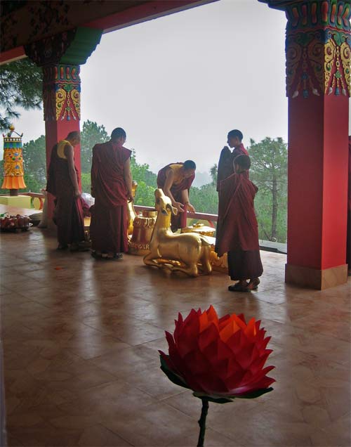 Kyabje Dorzong Rinpoche 