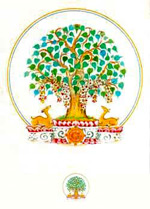 Kyabje Dorzong Rinpoche