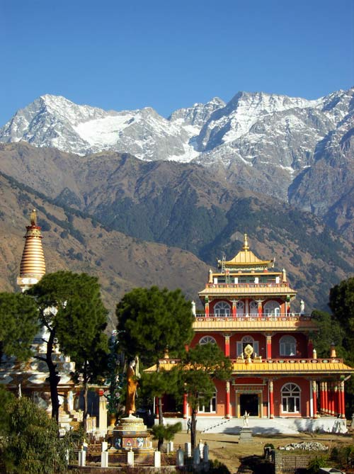 Kyabje Dorzong Rinpoche